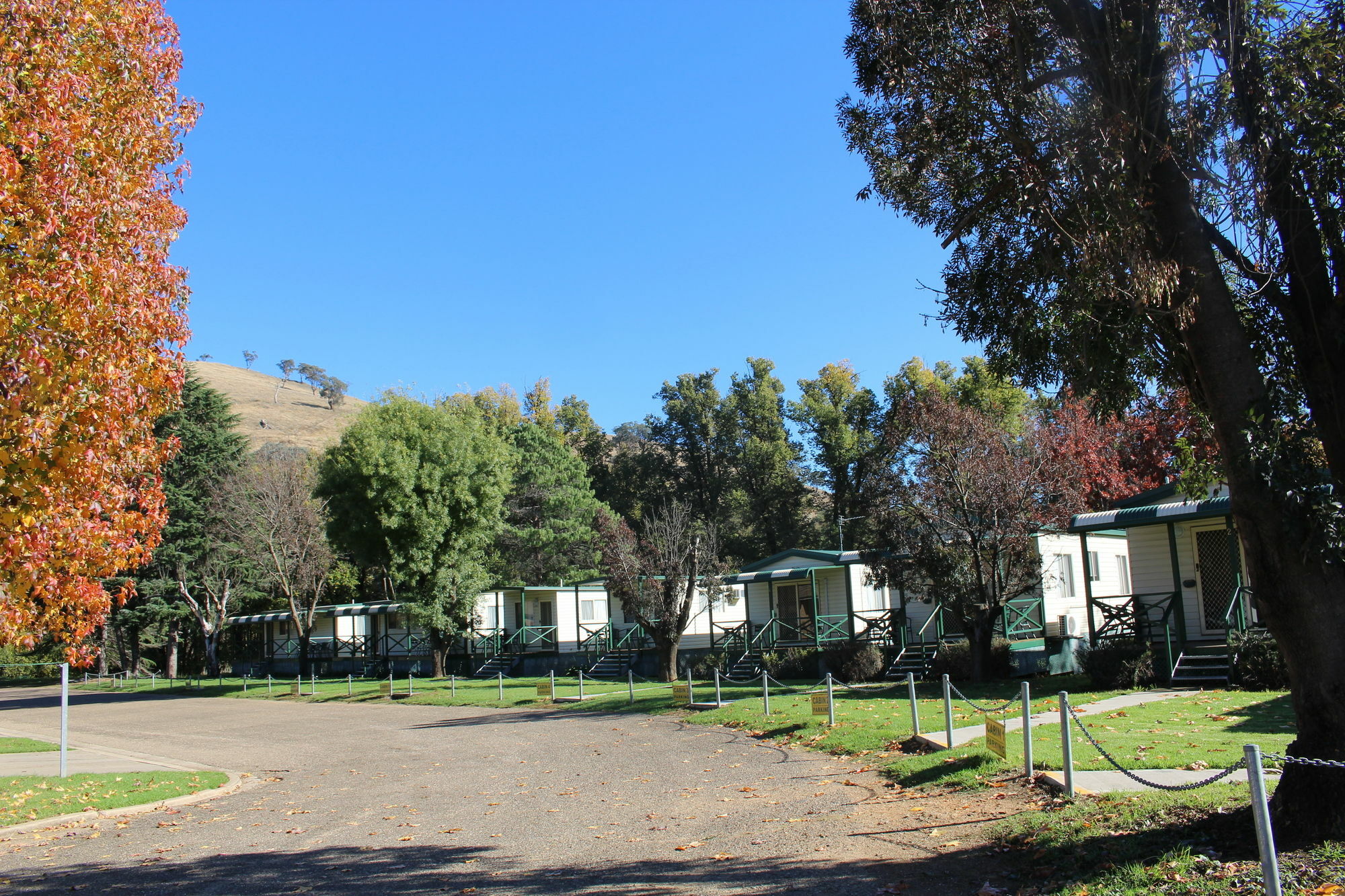 Gundagai Cabins & Tourist Park المظهر الخارجي الصورة